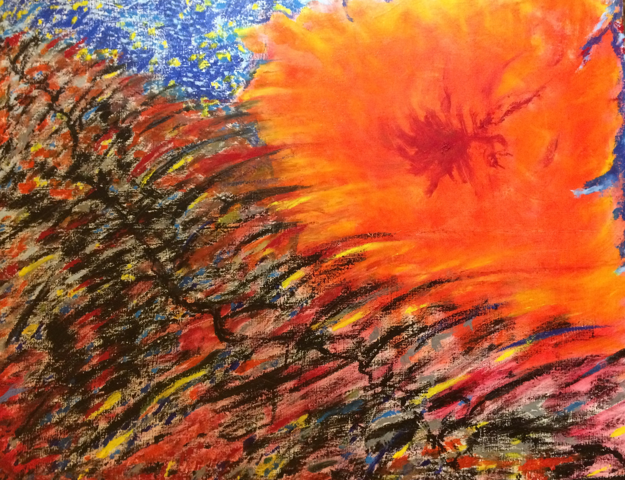 Collezione Paesaggi