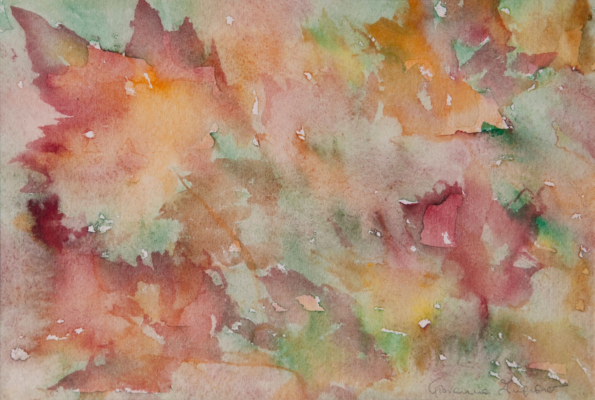 Paesaggi — Vermont, 2008