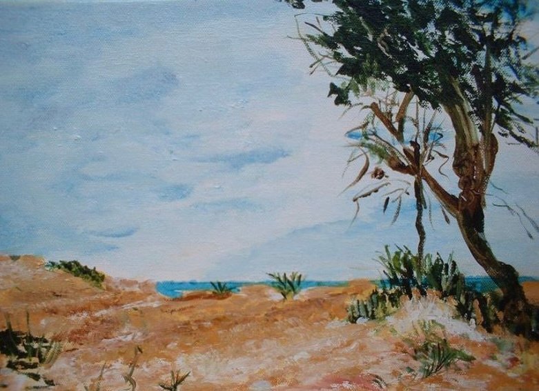Dune a Ispica, 2005