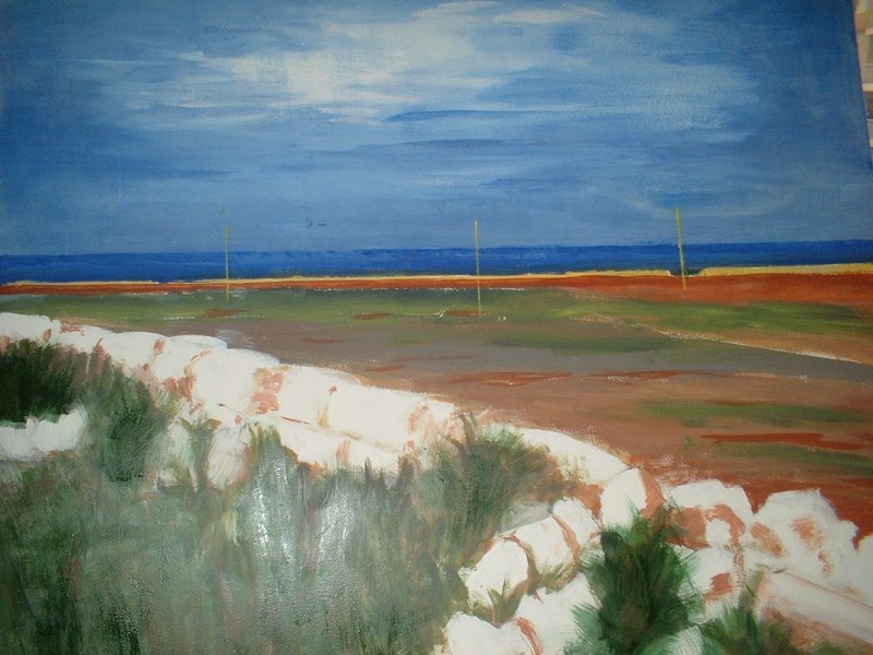 Sassi in Puglia, 2004