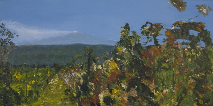 Viti dell'Etna, 2006